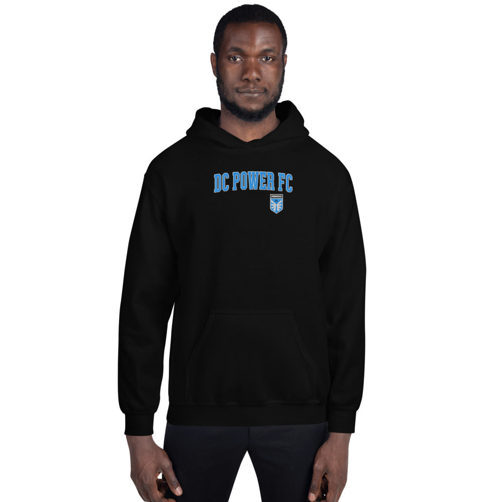 DC Power Embroidered Wordmark Adult Hoodie