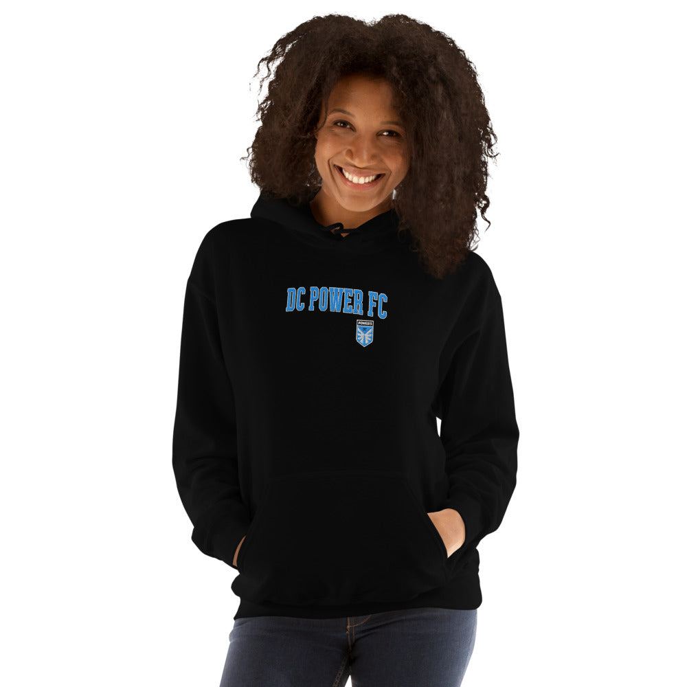 DC Power Embroidered Wordmark Adult Hoodie