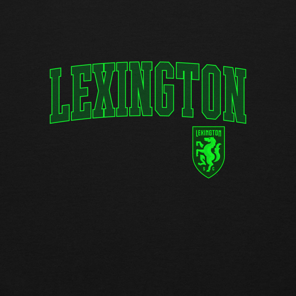 Lexington SC Embroidered Wordmark Hooded Sweatshirt